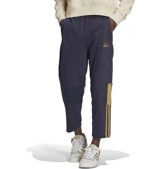 Штаны мужские Adidas Pants Sportswear Tiro 7/8 Pnt Aw Blue H56628