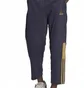 Штани чоловічі Adidas Pants Sportswear Tiro 7/8 Pnt Aw Blue H56628