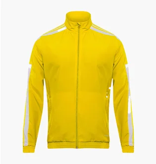 Куртка мужская Adidas Squadra 21 Presentation Jacket Yellow GP6448