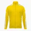 Куртка мужская Adidas Squadra 21 Presentation Jacket Yellow GP6448