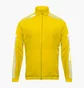 Куртка мужская Adidas Squadra 21 Presentation Jacket Yellow GP6448