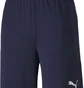 Шорти чоловічі Puma Teamfinal 21 Knit Shorts Black 70425706