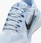 Кроссовки женские Nike W Air Zoom Pegasus 41 Light Blue FD2723-404