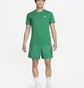 Футболка мужская Nike Sportswear Club Green AR4997-365
