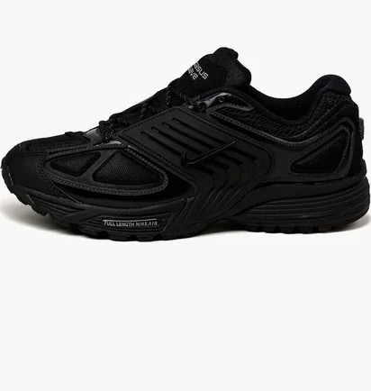 Кросівки чоловічі Nike Air Pegasus Wave Black IB0612-001