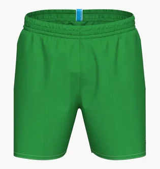 Шорти чоловічі Arena Bywayx R Green 006442-610