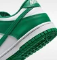 Кросівки дитячі Nike Dunk Low Green/White FB9109-114