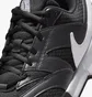 Кроссовки мужские Nike Lite 4 Black FD6574-001