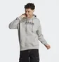 Худи мужское Adidas All Szn Fleece Graphic Hoodie Grey Ic9772