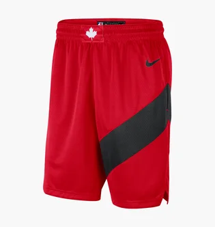 Шорти чоловічі Nike Toronto Raptors Icon Edition 2020 Nba Swingman Red CN8089-657