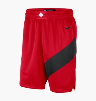 Шорты мужские Nike Toronto Raptors Icon Edition 2020 Nba Swingman Red CN8089-657