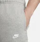 Штаны мужские Nike Sportswear Club Fleece Grey CD3129-063