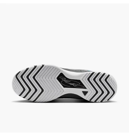 Кроссовки мужские Air Jordan Lebron Nxxt Genisus Black/White HF0712-004
