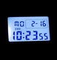 Часы мужские Casio DW-5600RL-1