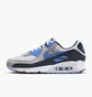 Кросівки чоловічі Nike Air Max 90 Grey Dq4071-101
