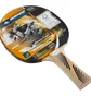 Ракетка для настольного тенниса Donic Legends 300 Fsc Black/Red 705234