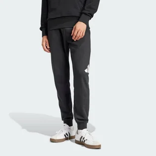 Штаны мужские Adidas Bl Ft Pt Black IN6163