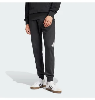 Штани чоловічі Adidas Bl Ft Pt Black IN6163