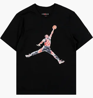 Футболка мужская Air Jordan Jumpman Watercolor Short Sleeve Shirt Black FN5980-010