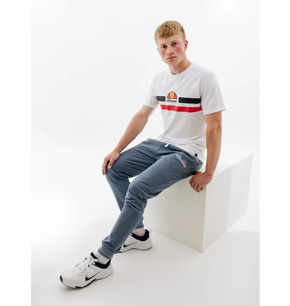 Футболка мужская Ellesse Aprel Tee White SHR06453-908