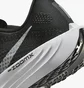 Кроссовки женские Nike Pegasus Plus Black FQ7261-002