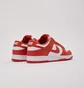 Кросівки чоловічі Nike Dunk Low Orange/White DV0833-114