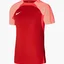 Футболка мужская Nike Jersey M Nk Df Strke Iii Jsy Ss Red DR0889-657