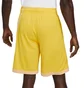 Шорты мужские Nike Dri-Fit Yellow DH6763-709