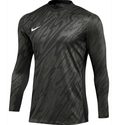 Лонгслив мужской Nike Dri-Fit Gardien V Gk Jsy Ls Black/Grey FD7474-060
