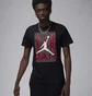 Футболка мужская Air Jordan T-Shirt Brand Black FN5978-010