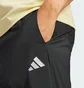 Штаны мужские Adidas Black JD1833