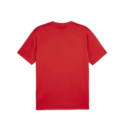 Футболка мужская Puma Teamgoal Shirt Rood Red 658636-01