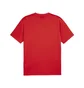 Футболка мужская Puma Teamgoal Shirt Rood Red 658636-01