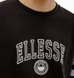 Світшот чоловічий Ellesse Vivar Sweatshirt Black SHV20028-079