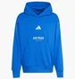 Худи мужское Adidas All Szn Fleece Graphic Sportswear Blue JJ3667