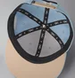 Кепка унисекс Air Jordan U Pro Cap S Fb Flt Mvp Light Blue FV5292-436