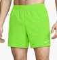 Плавки чоловічі Nike Essential Green NESSF560-311