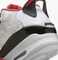 Кроссовки мужские Air Jordan Dub Zero White 311046-160