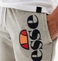 Шорты мужские Ellesse Bossini Fleece Short Grey SHS08748-106