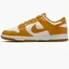 Кросівки жіночі Nike Dunk Low Next Nature Orange Dn1431-001