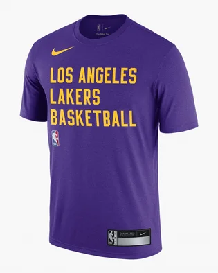 Футболка мужская Nike T-Shirt Dri-Fit Nba Los Angeles Lakers Violet FJ0209-504