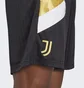 Шорты мужские Adidas Juventus Icon Shorts Black HS9806