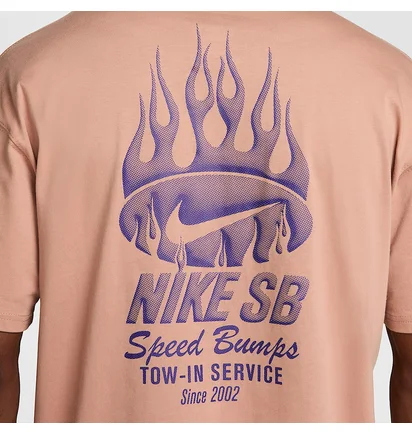 Футболка мужская Nike Sb Peach HJ0820-215