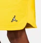 Шорти чоловічі Air Jordan Essentials Fleece Shorts Yellow DA9826-719