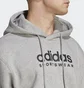 Худи мужское Adidas All Szn Fleece Graphic Hoodie Grey Ic9772