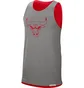 Майка мужская Nike Nba Chicago Bulls Standard Red CN0704-657