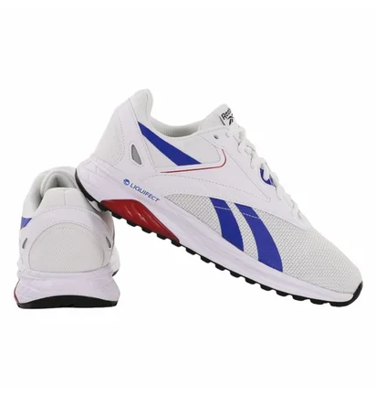 Кросівки чоловічі Reebok Liquifect 90 2 White GY9811