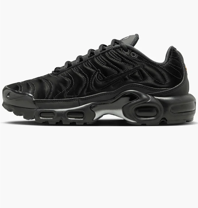 Кросівки жіночі Nike Air Max Plus Black Anthracite Black FV1169-001