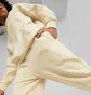 Штаны мужские Puma Classics Beige 535597-88