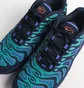Кроссовки мужские Nike Air Max Plus Drift Blue FD4290-400